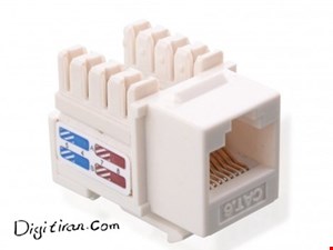 کیستون شبکه cat6
