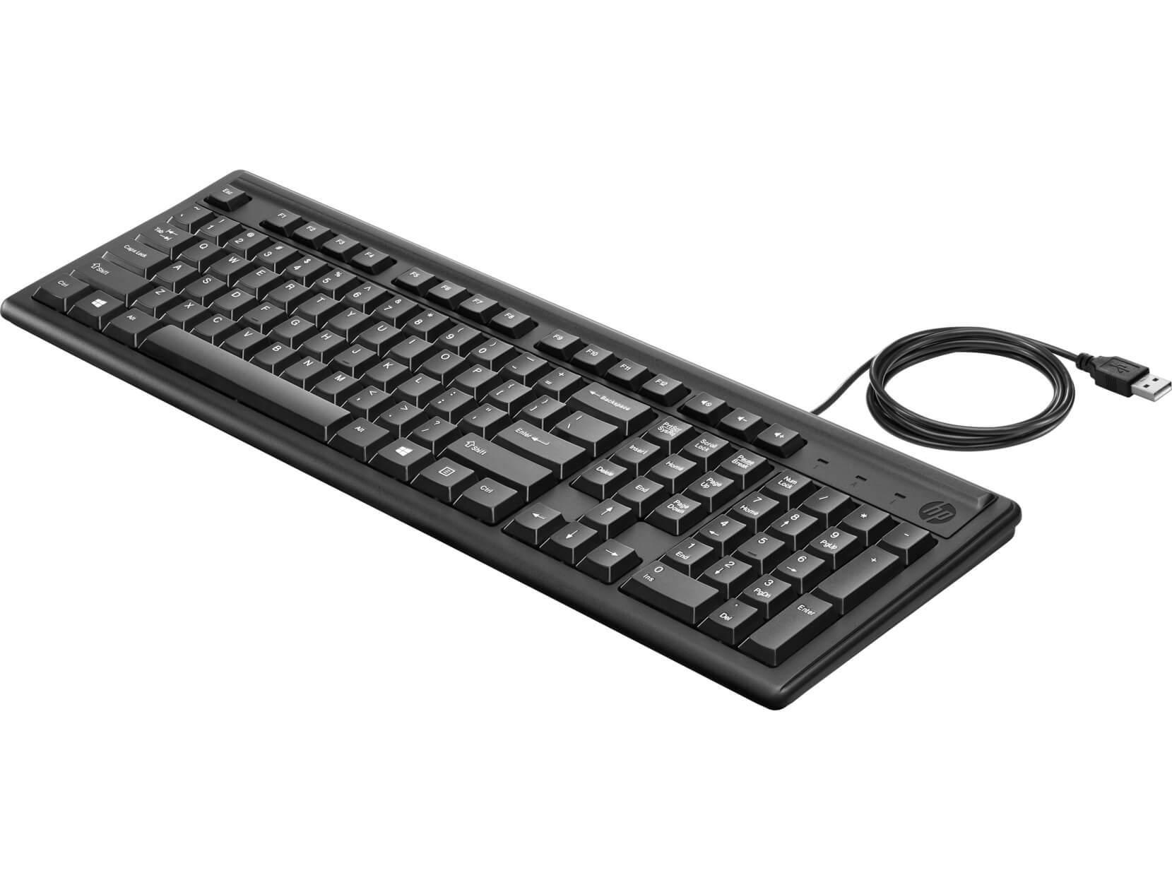 Hp Keyboard 100